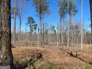 659 Giles Road, Forsyth, GA 31029