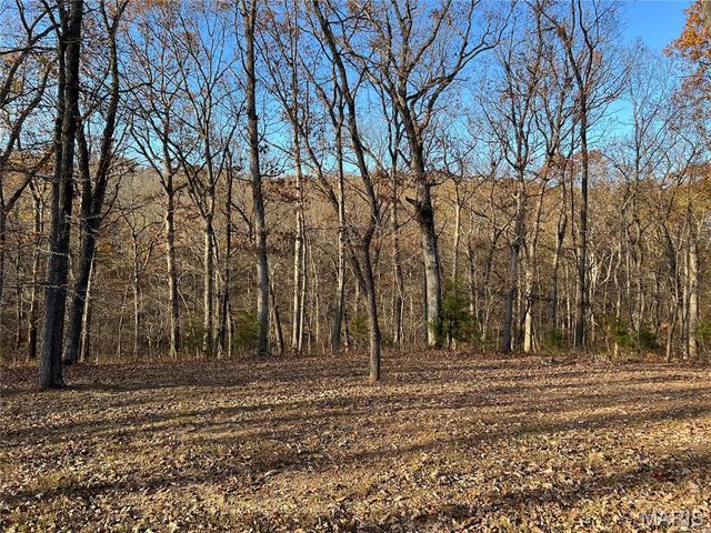 23013 ROCK BLUFF Drive, Richland, MO 65556