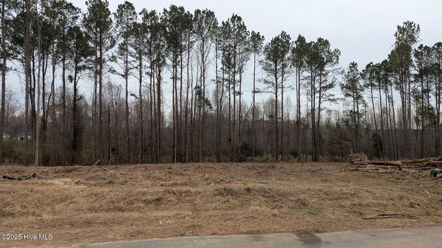 1773 Pecan Drive Lot 19, Nashville, NC 27856