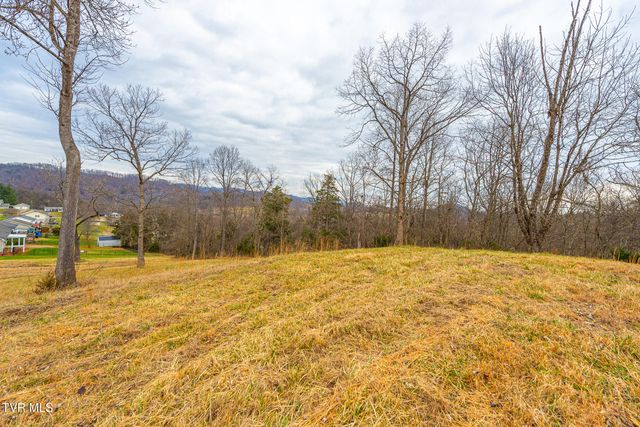 0 Ohio Avenue, Mount Carmel, TN 37645