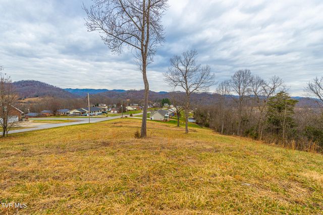 0 Ohio Avenue, Mount Carmel, TN 37645