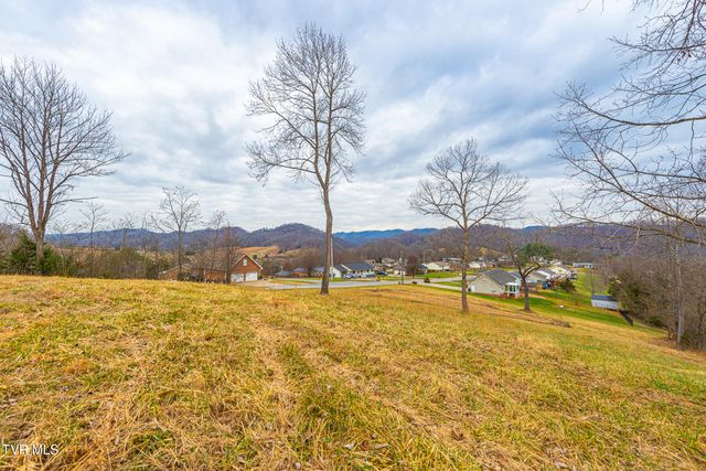 0 Ohio Avenue, Mount Carmel, TN 37645