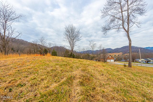 0 Ohio Avenue, Mount Carmel, TN 37645