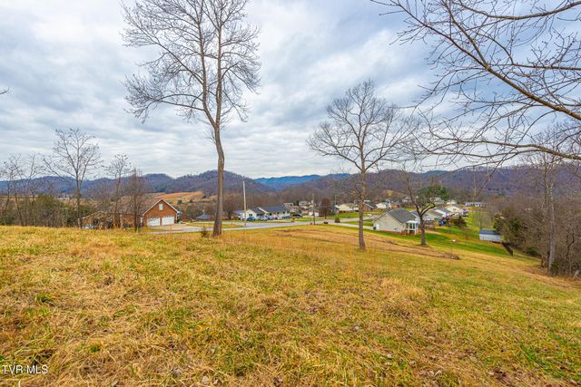 0 Ohio Avenue, Mount Carmel, TN 37645