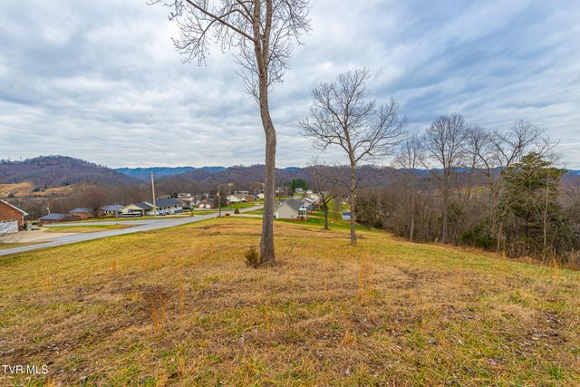 0 Ohio Avenue, Mount Carmel, TN 37645