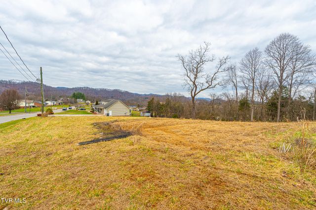 0 Ohio Avenue, Mount Carmel, TN 37645