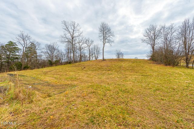 0 Ohio Avenue, Mount Carmel, TN 37645