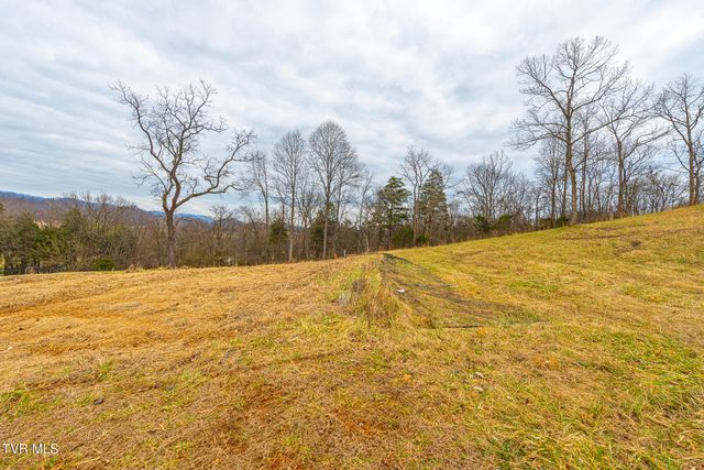 0 Ohio Avenue, Mount Carmel, TN 37645