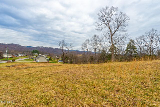 0 Ohio Avenue, Mount Carmel, TN 37645