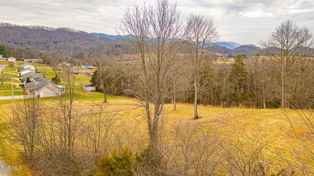 0 Ohio Avenue, Mount Carmel, TN 37645