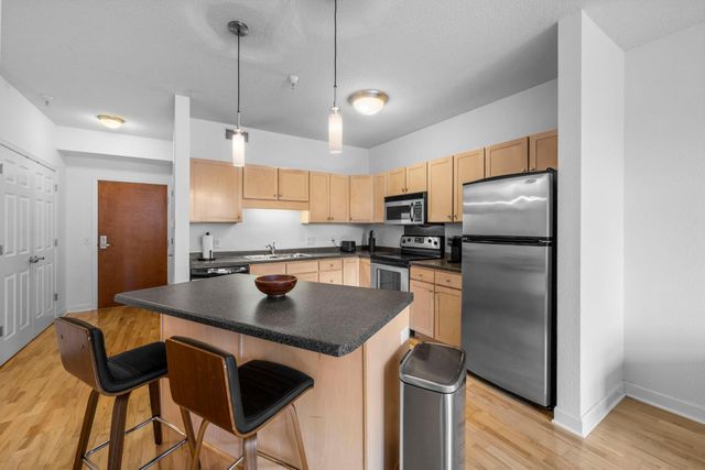 310 E 18th Street 201, Minneapolis, MN 55404