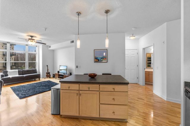 310 E 18th Street 201, Minneapolis, MN 55404