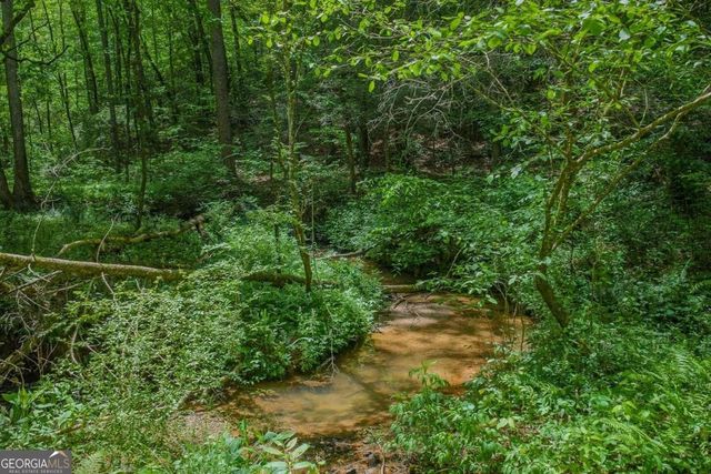 153 January Lane, Ellijay, GA 30540