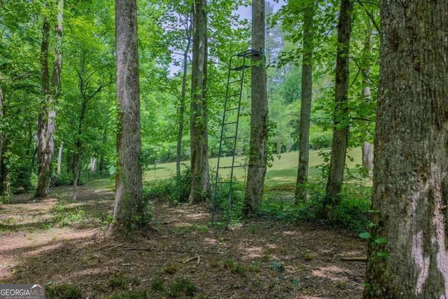 153 January Lane, Ellijay, GA 30540