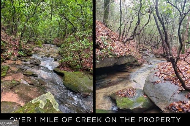 153 January Lane, Ellijay, GA 30540