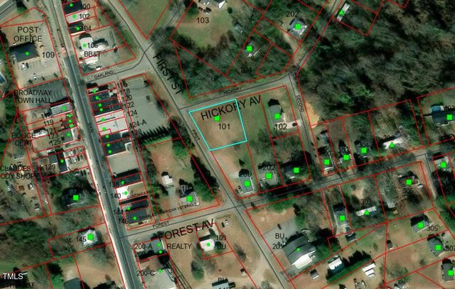 101 Hickory Avenue, Broadway, NC 27505