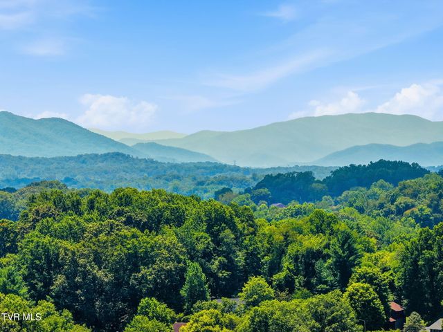 8 Fox Run Lane, Johnson City, TN 37604