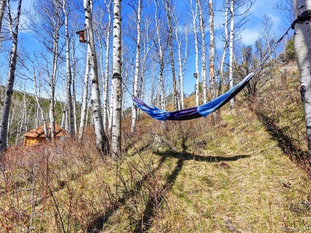 1170 Apex Valley Road, Black Hawk, CO 80422