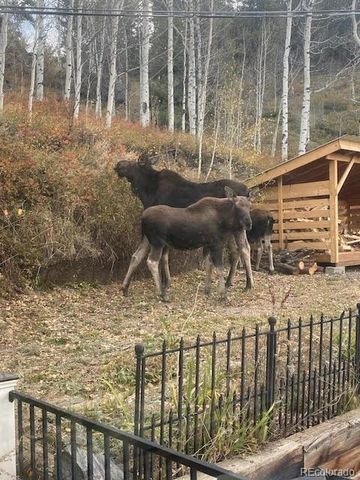 1170 Apex Valley Road, Black Hawk, CO 80422