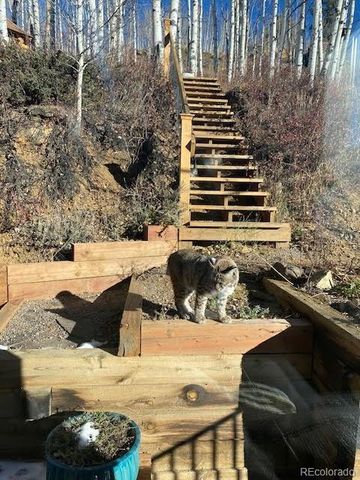 1170 Apex Valley Road, Black Hawk, CO 80422