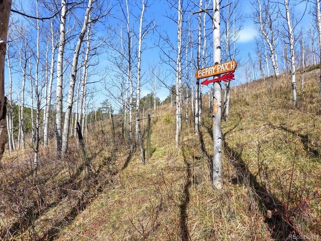 1170 Apex Valley Road, Black Hawk, CO 80422