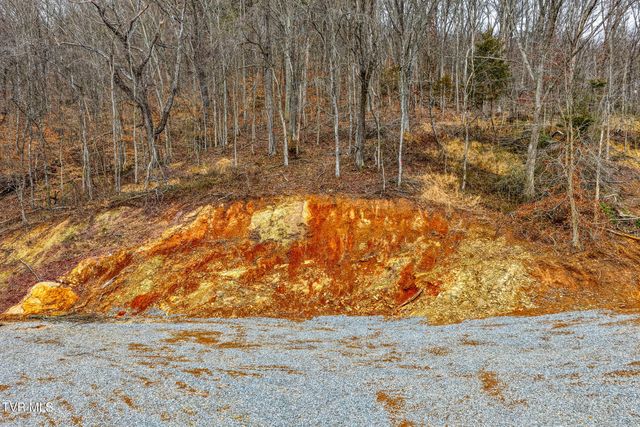 5640 Highway 11w, Rogersville, TN 37857