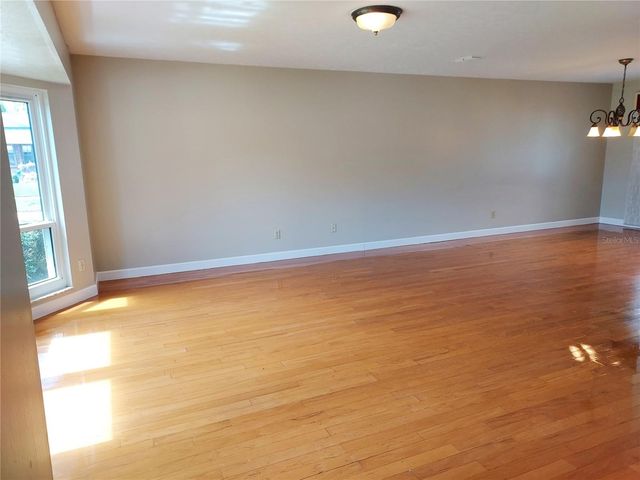 702 HYSSOP PLACE, Brandon, FL 33510