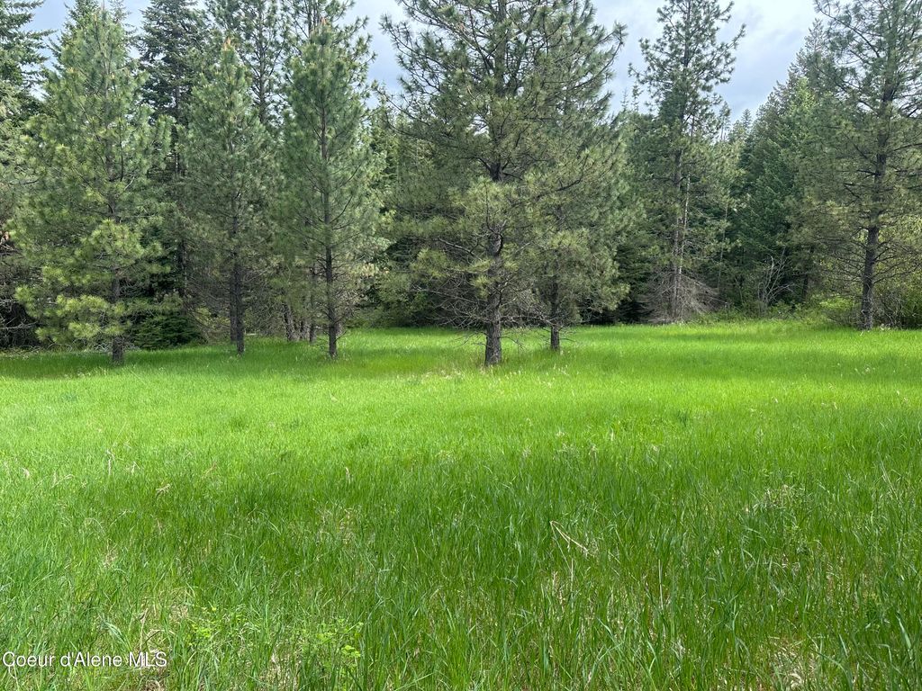 E BADGER, Harrison, ID 83833