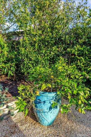 645 Oak, Laguna Beach, CA 92651