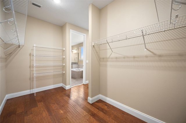 8324 VIVARO ISLE WAY, Windermere, FL 34786