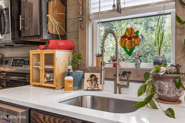 610 Whistling Swan St, Townsend, TN 37882