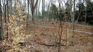 1036 Town Hill Road, Wolcott, VT 05680