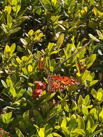 4005 DELLBROOK DRIVE, Tampa, FL 33624