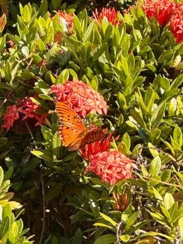 4005 DELLBROOK DRIVE, Tampa, FL 33624