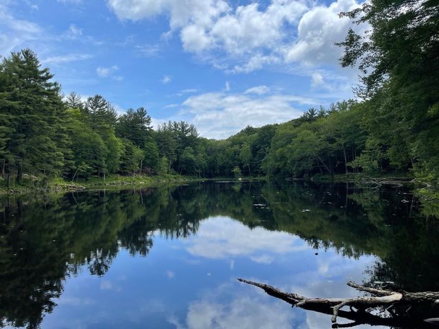 38 Wilsondale St, Dover, MA 02030
