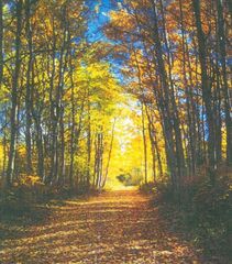 Lot 21 Misty River Trail, Windsor, SC 29856