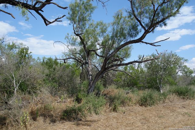 TBD 1343, Castroville, TX 78009