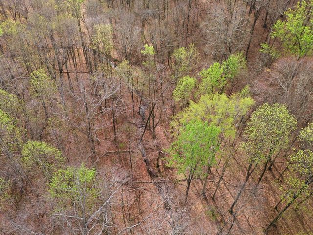 2667 Crocker Springs Rd, Goodlettsville, TN 37072