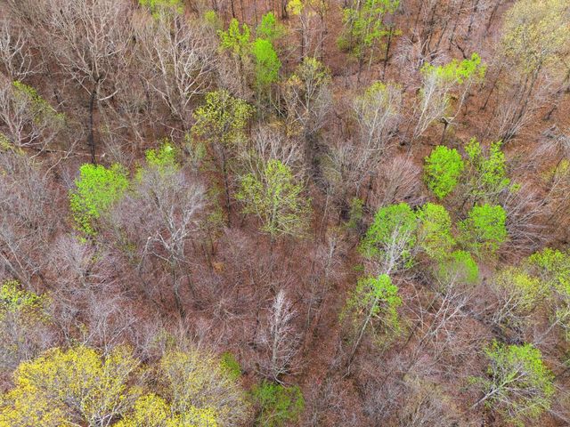 2667 Crocker Springs Rd, Goodlettsville, TN 37072