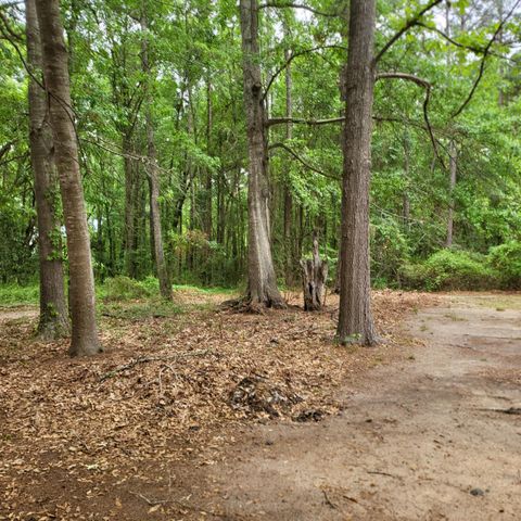 133 Knott Drive, Eutawville, SC 29048