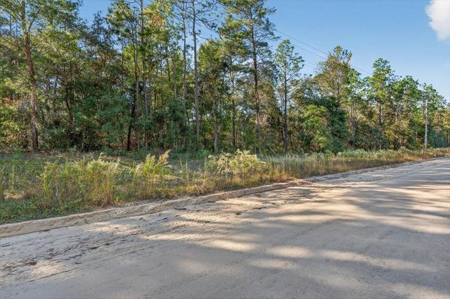 0 Usina Ave, Interlachen, FL 32148