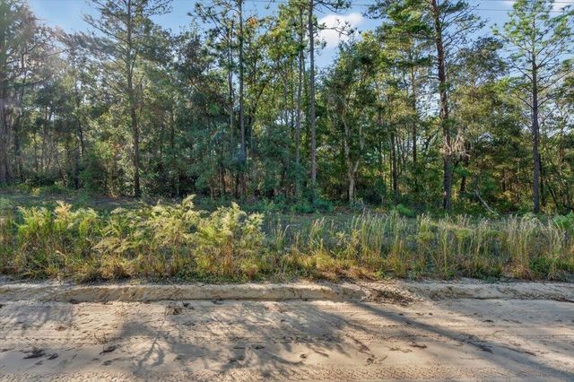 0 Usina Ave, Interlachen, FL 32148