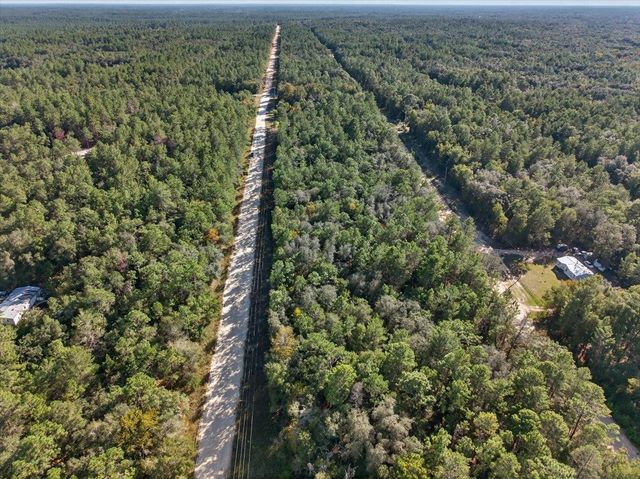 0 Usina Ave, Interlachen, FL 32148