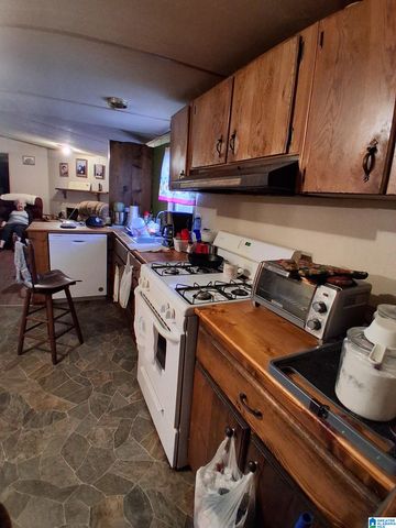 7963 COUNTY ROAD 59, Roanoke, AL 36274