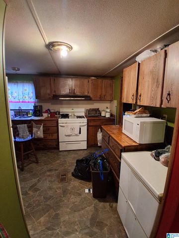 7963 COUNTY ROAD 59, Roanoke, AL 36274