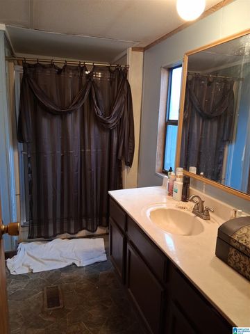 7963 COUNTY ROAD 59, Roanoke, AL 36274