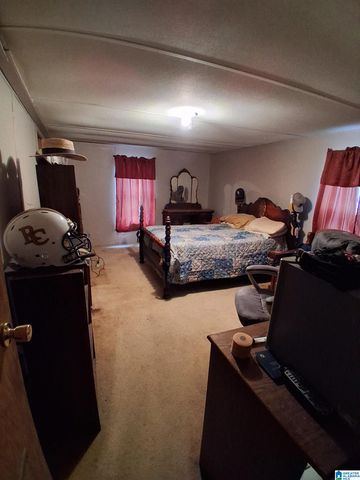 7963 COUNTY ROAD 59, Roanoke, AL 36274