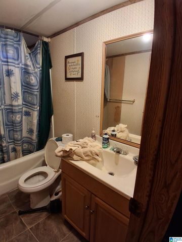 7963 COUNTY ROAD 59, Roanoke, AL 36274