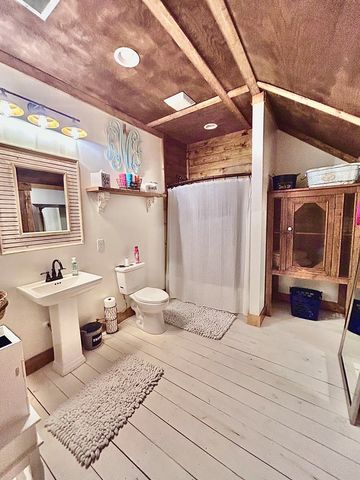 1702 Camp Shelor Road, Manning, SC 29102