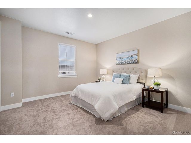 5381 Hickory Oaks Trl, Castle Rock, CO 80104